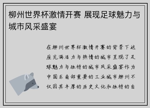 柳州世界杯激情开赛 展现足球魅力与城市风采盛宴